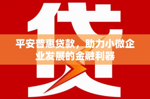 贵州平安普惠贷款，助力小微企业发展的金融利器