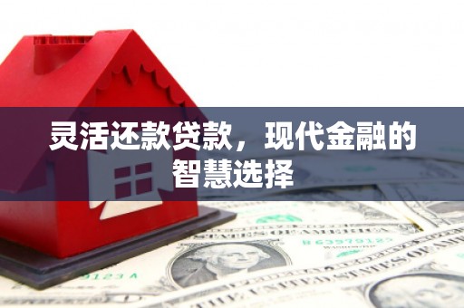 贵州灵活还款贷款，现代金融的智慧选择