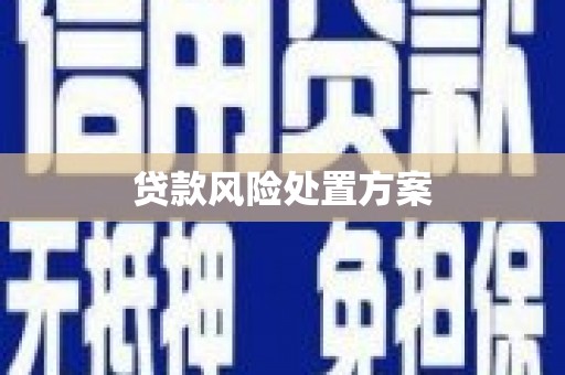 贵州贷款风险处置方案