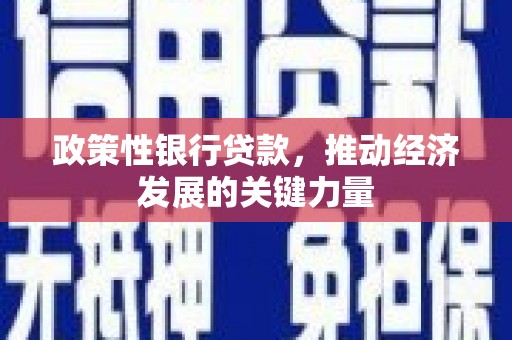 贵州政策性银行贷款，推动经济发展的关键力量