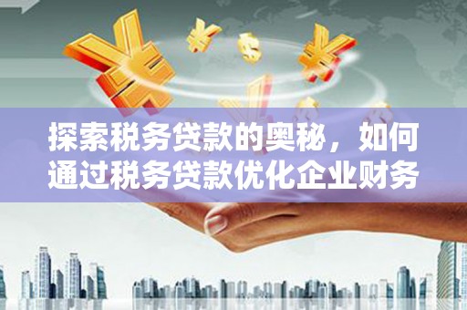 贵州探索税务贷款的奥秘，如何通过税务贷款优化企业财务