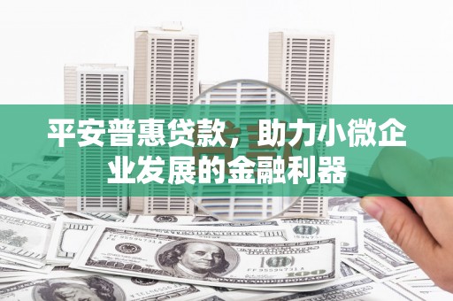 贵州平安普惠贷款，助力小微企业发展的金融利器