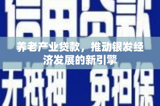 贵州养老产业贷款，推动银发经济发展的新引擎