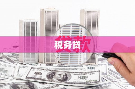 贵州税务贷