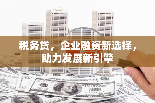 贵州税务贷，企业融资新选择，助力发展新引擎