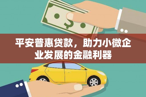 贵州平安普惠贷款，助力小微企业发展的金融利器