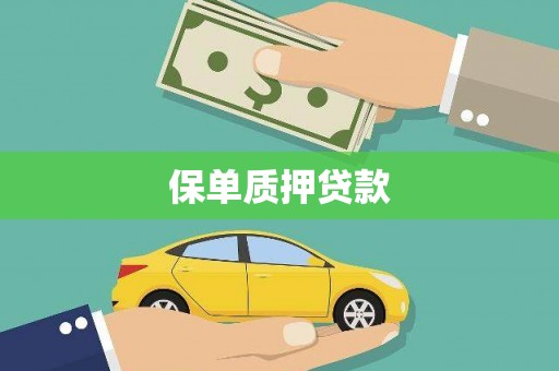 贵州保单质押贷款