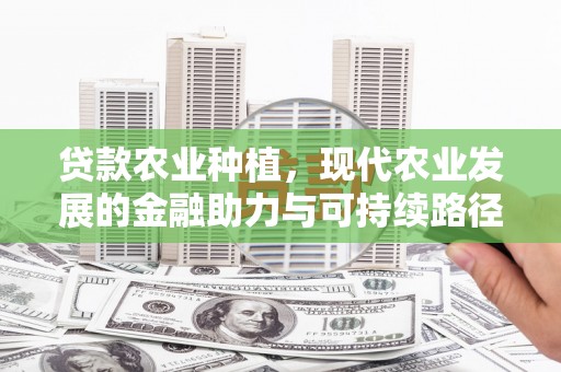 贵州贷款农业种植，现代农业发展的金融助力与可持续路径