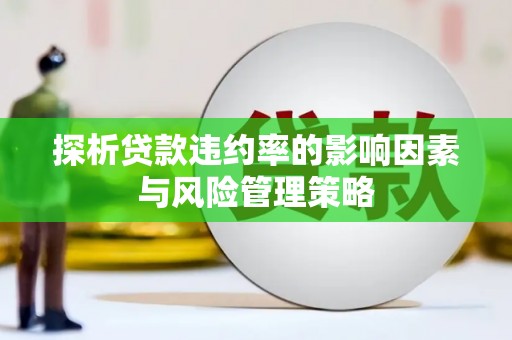 贵州探析贷款违约率的影响因素与风险管理策略