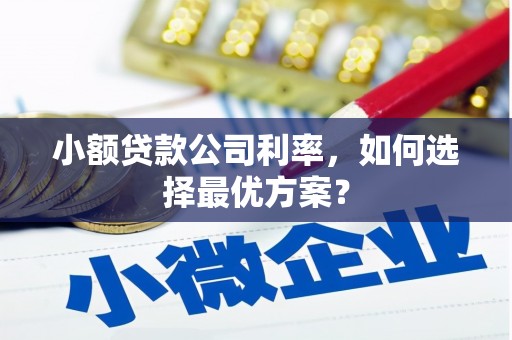 贵州小额贷款公司利率，如何选择最优方案？