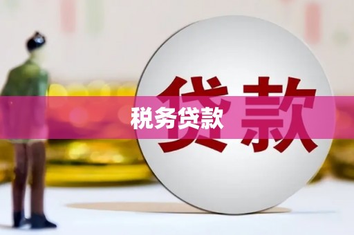 贵州税务贷款