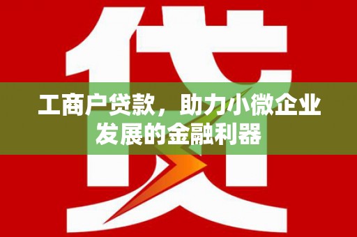 贵州工商户贷款，助力小微企业发展的金融利器