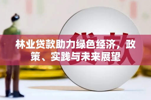 贵州林业贷款助力绿色经济，政策、实践与未来展望