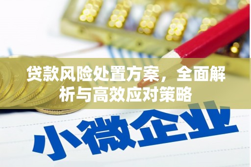 贵州贷款风险处置方案，全面解析与高效应对策略