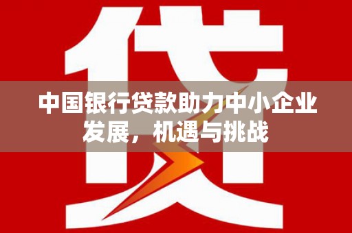贵州中国银行贷款助力中小企业发展，机遇与挑战
