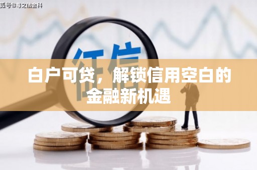 贵州白户可贷，解锁信用空白的金融新机遇