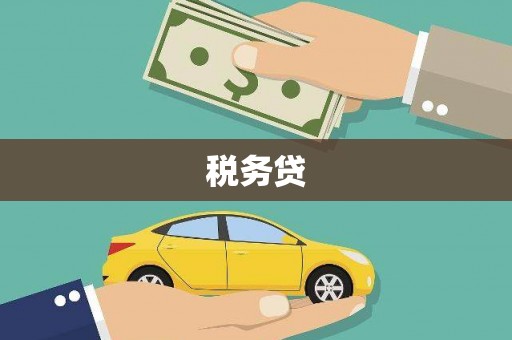 贵州税务贷
