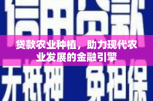 贵州贷款农业种植，助力现代农业发展的金融引擎