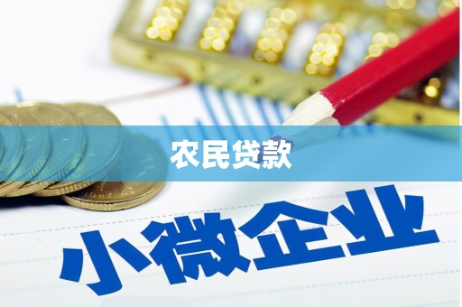 贵州农民贷款