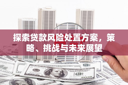 贵州探索贷款风险处置方案，策略、挑战与未来展望