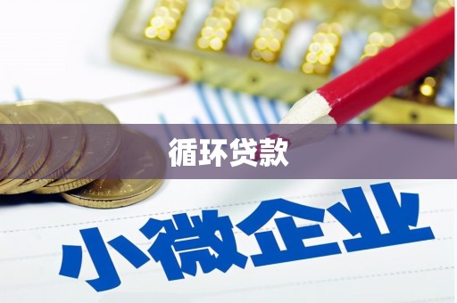 贵州循环贷款