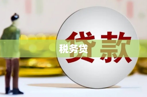 贵州税务贷
