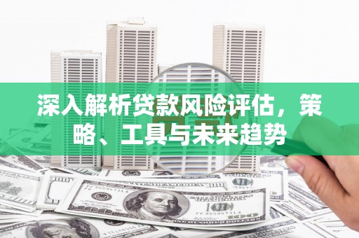 贵州深入解析贷款风险评估，策略、工具与未来趋势