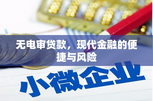 贵州无电审贷款，现代金融的便捷与风险