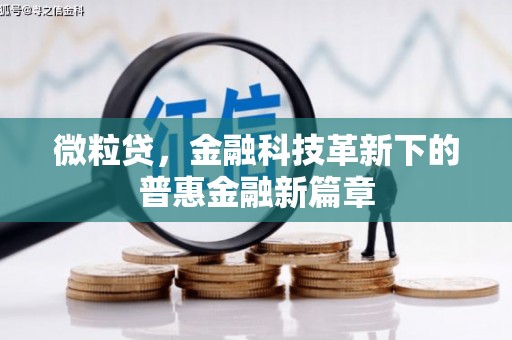 贵州微粒贷，金融科技革新下的普惠金融新篇章