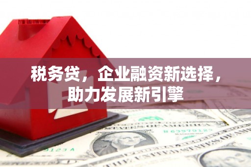 贵州税务贷，企业融资新选择，助力发展新引擎