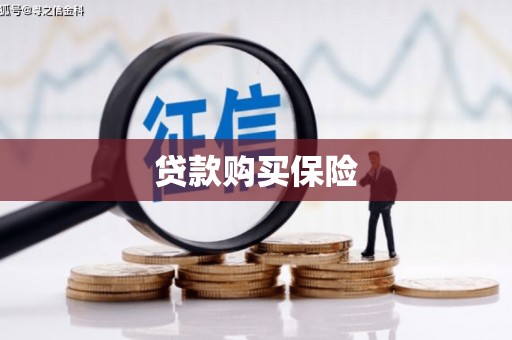 贵州贷款购买保险