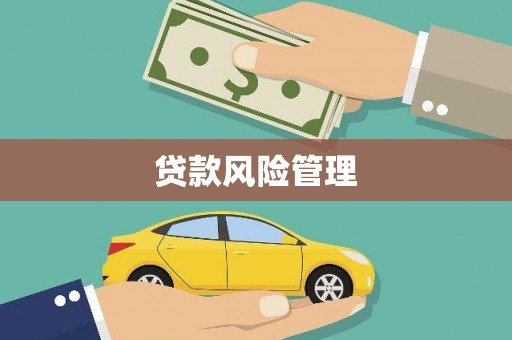 贵州贷款风险管理