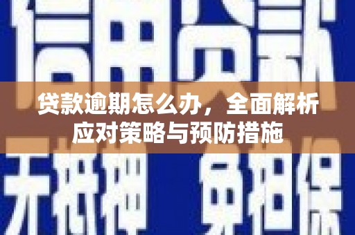 贵州贷款逾期怎么办，全面解析应对策略与预防措施
