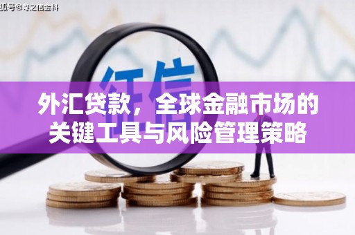 贵州外汇贷款，全球金融市场的关键工具与风险管理策略