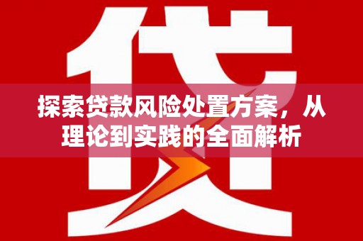 贵州探索贷款风险处置方案，从理论到实践的全面解析
