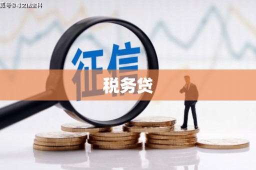 贵州税务贷