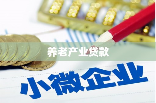 贵州养老产业贷款