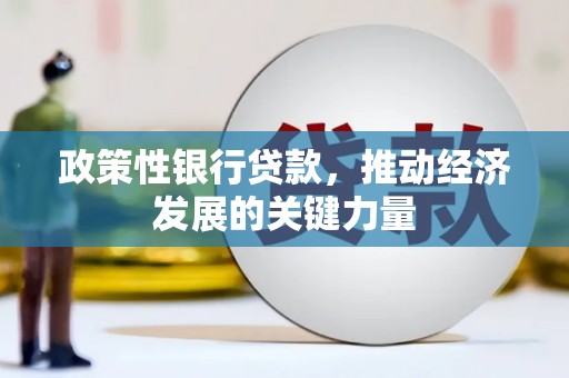 贵州政策性银行贷款，推动经济发展的关键力量