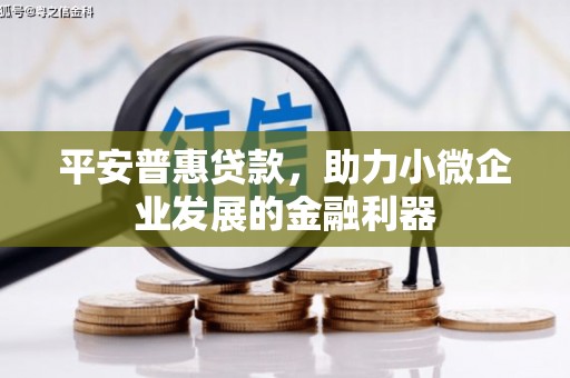 贵州平安普惠贷款，助力小微企业发展的金融利器
