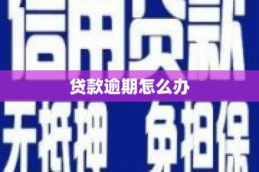 贵州贷款逾期怎么办