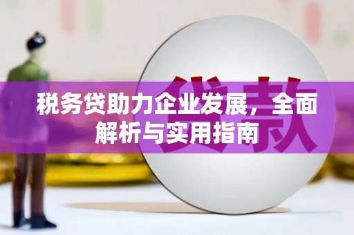 贵州税务贷助力企业发展，全面解析与实用指南
