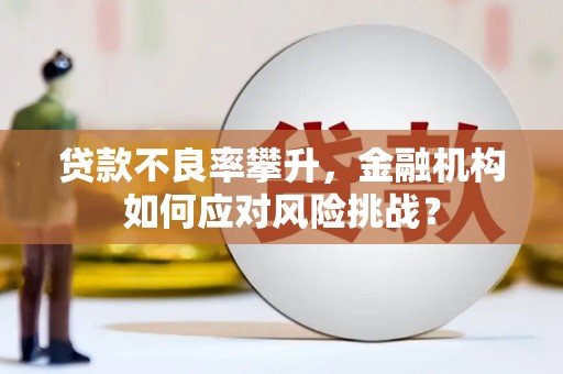 贵州贷款不良率攀升，金融机构如何应对风险挑战？