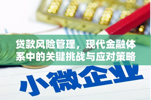 贵州贷款风险管理，现代金融体系中的关键挑战与应对策略