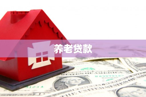 贵州养老贷款