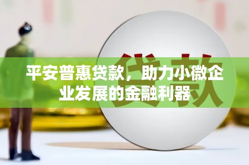 贵州平安普惠贷款，助力小微企业发展的金融利器