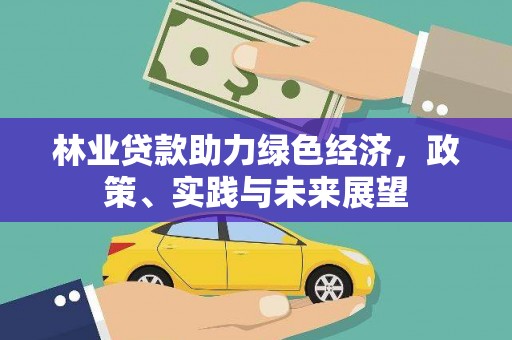 贵州林业贷款助力绿色经济，政策、实践与未来展望