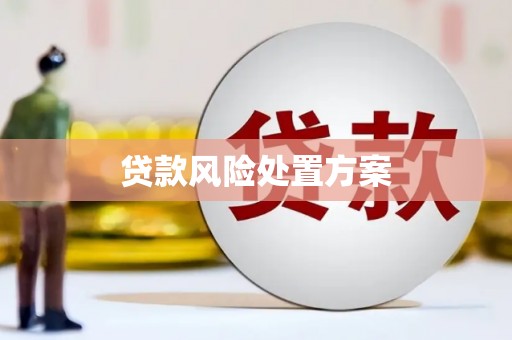 贵州贷款风险处置方案