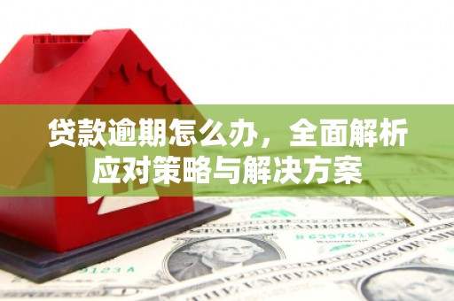 贵州贷款逾期怎么办，全面解析应对策略与解决方案