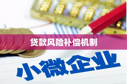 贵州贷款风险补偿机制