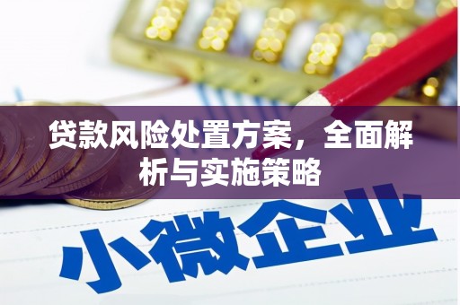 贵州贷款风险处置方案，全面解析与实施策略